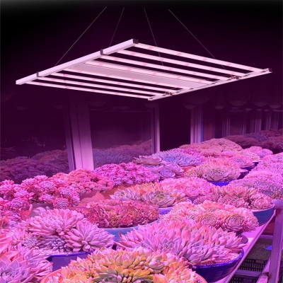 Plant lighting leads the future agricultural revolution, plant lighting equipment is developing rapidly, and the future market is broad (1)